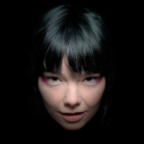 The Björk Godpixel - photo 1