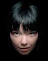 The Björk Godpixel