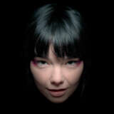 The Björk Godpixel - photo 1