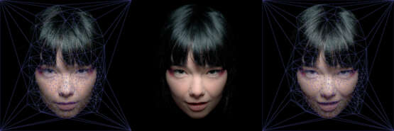 The Björk Godpixel - фото 2