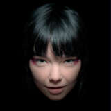 The Björk Godpixel - photo 2