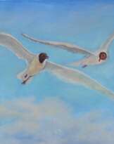 Озёрные чайки