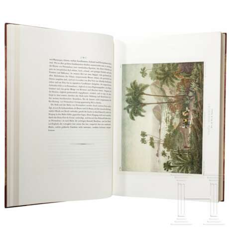 Leni Riefenstahl - Buch "Malerische Reise in Brasilien" von Johann Moritz Rugendas mit Widmung, limitierte "H.C."-Ausgabe - Foto 5