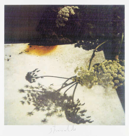 STRAWALDE (JÜRGEN BÖTTCHER) 1931 Frankenberg (Eder) OHNE TITEL (1988) + BEIGABE - Foto 2