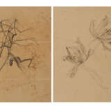 Group of two nature studies: tree study; study of parrot tulips - photo 1