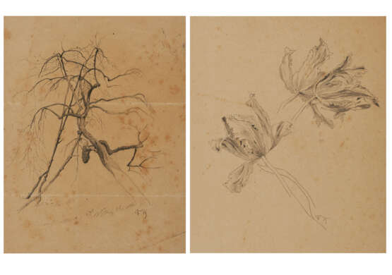 Group of two nature studies: tree study; study of parrot tulips - Foto 1
