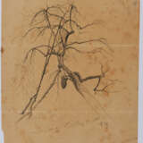 Group of two nature studies: tree study; study of parrot tulips - photo 3