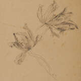 Group of two nature studies: tree study; study of parrot tulips - Foto 5
