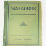 Schaubeks illustriertes Briefmarken-Album, Viktoria- Permanent-Ausgabe. - photo 3