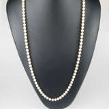 Perlenkette mit Goldschließe - фото 1