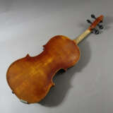 Geige - фото 15