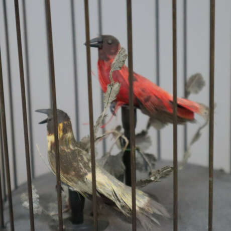 Singvogelautomat mit zwei singenden Vögeln - Foto 5