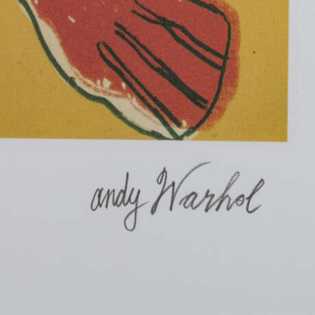 WARHOL, ANDY (1928-1987) "Parrot" - Foto 2