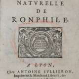 Ronphile, (D.R.). - Foto 1