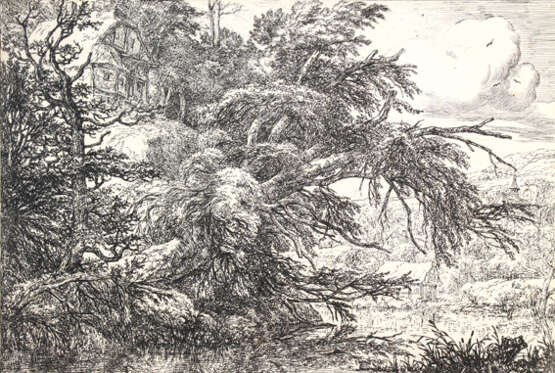 Ruisdael, Jacob Isaakszoon van - photo 1