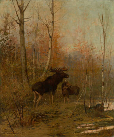 Two Elks in Woodlands - Foto 1