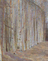 Warm Day in Early Spring