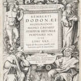 Dodonaeus, Rembert, Stirpium historiae pemptades (...) - photo 2
