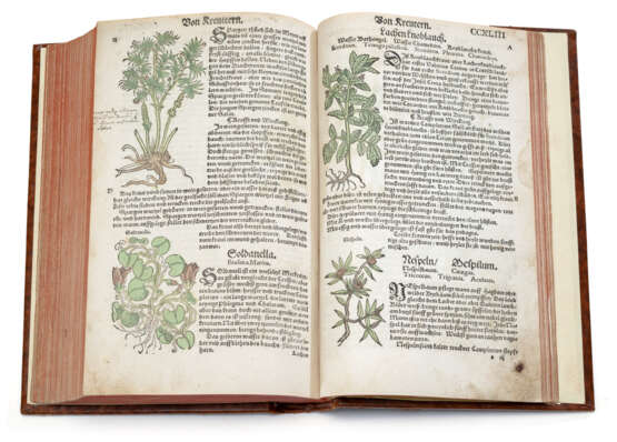 Rösslin, Eucharius, Kreuterbuch - Foto 6