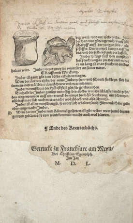 Rösslin, Eucharius, Kreuterbuch - Foto 7