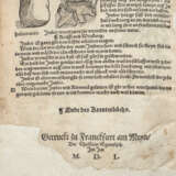 Rösslin, Eucharius, Kreuterbuch - фото 7