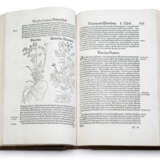 Bock, Hieronymus, Kreuter Buch (...) - фото 5