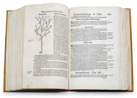 Bock, Hieronymus, Kreuter Buch (...) - фото 6