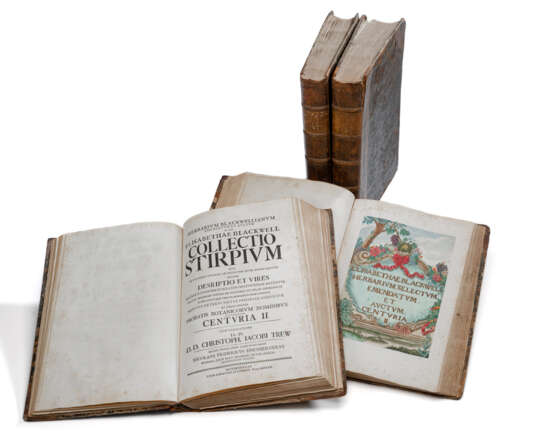 Blackwell, Elizabeth, Sammlung der Gewächse/Collectio Stirpium - Foto 1