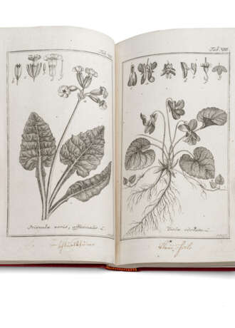 Zorn, Johannes, Icones plantarum medicinalium - Foto 2