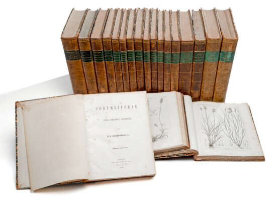 Reichenbach, Ludwig und Heinrich Gustav, Icones Florae Germanicae et Helveticae (...) und Iconographia Botanica (...) - photo 1