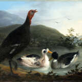 "Uccelli di palude" 184? | olio su tela (cm 45x60) | Firmato e datato in basso a destra | Al retro: tracce di cartigli | In cornice - Foto 1