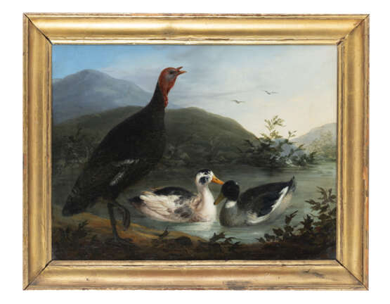 "Uccelli di palude" 184? | olio su tela (cm 45x60) | Firmato e datato in basso a destra | Al retro: tracce di cartigli | In cornice - photo 2