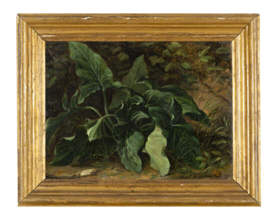 (Attribuito) | | "Arbusto di serpentino" | olio su carta (cm 27,5x36,5) | Reca iscrizione con titolo e data in basso a destra | In cornice - Foto 2