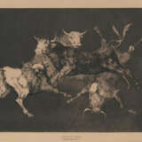 Goya, Francisco de - Foto 1