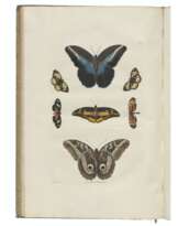 KNORR, Georg Wolfgang (1705-1761) and Phil. Ludw. Statius MÜLLER (1725-1776).