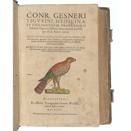 GESNER, Conrad (1516-1565) - photo 1