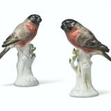 A PAIR OF MEISSEN PORCELAIN MODELS OF BULLFINCHES - фото 1