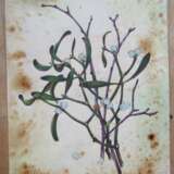 Design Painting “Mistletoe.”, Paper, Mixed media, Realist, Flower still life, Ukraine, 2021 - photo 1