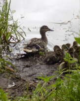 пейзажные фотоснимки