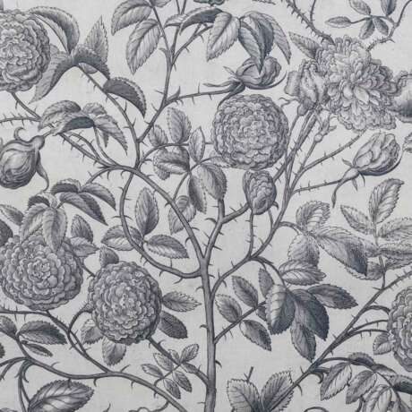 BESLER, BASILIUS, attr./nach (1561-1629), "Rosa Damascena flore pleno " aus "Hortus Eystettensis - Garten von Eichstätt", - photo 3
