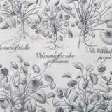 BESLER, BASILIUS, attr./nach (1561-1629), "Viola martia..." aus "Hortus Eystettensis - Garten von Eichstätt", - Foto 3