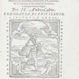 CALMO, Andrea (1510/11-1571) - Cherebizzi - Foto 4