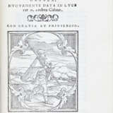 CALMO, Andrea (1510/11-1571) - Cherebizzi - Foto 6