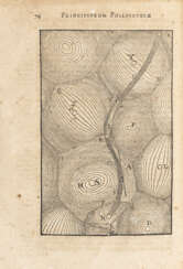 DESCARTES, Rene (1596-1650) - Principia Philosophiae. Editio quarta. LEGATO CON: - Specimina philosophiae seu Dissertatio de methodo. Amsterdam: s.e., 1664. 