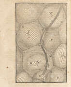 Рене Декарт. DESCARTES, Rene (1596-1650) - Principia Philosophiae. Editio quarta. LEGATO CON: - Specimina philosophiae seu Dissertatio de methodo. Amsterdam: s.e., 1664. 
