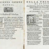 STAZIO, Publio Papino (45 ca.- 96 ca.) - La Thebaide di Statio. Venice: Francesco de' Franceschi, s.d. (ma 1570?).  - фото 3