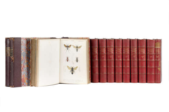 DE ORBIGNY, Charles (1802-1857) - Dictionnaire universel d'histoire naturelle. Paris: Au Bureau Principal de l' éditeur, 1841.  - Foto 1