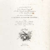 PARMIGIANINO - BOSSI, Benigno (1727-1792) - Raccolta di disegni originali di Fra.co Mazzola detto il Parmigianino. Parma; Milan: Giacchino Bettalli, 1772.  - photo 3