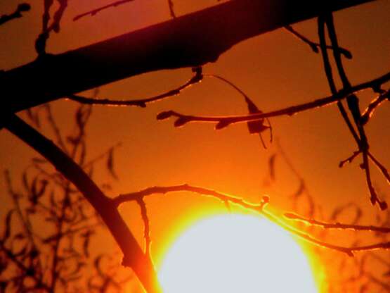 Закат солнца 2007 г. - фото 1
