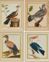 Folge von vier Vogeldarstellungen